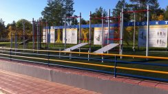 Площадка для воркаута в городе Оренбург №4297 Маленькая Хомуты фото